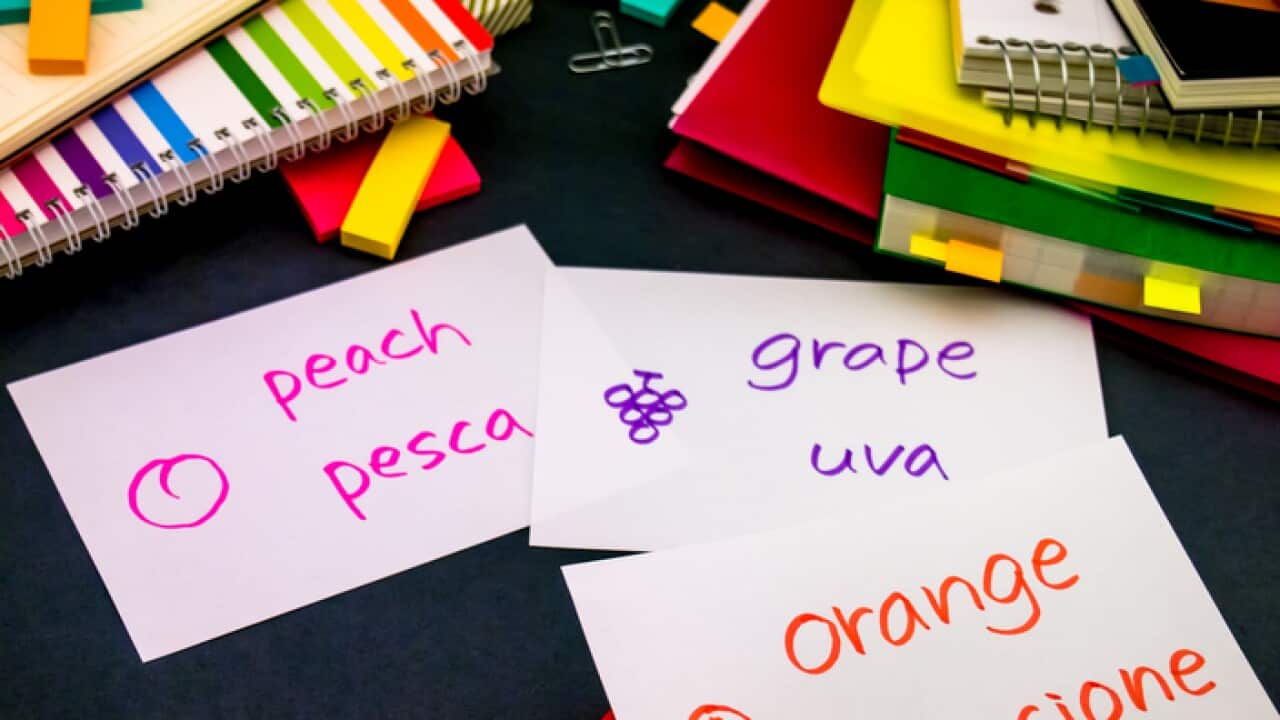 Image for read more article 'READ MORE'