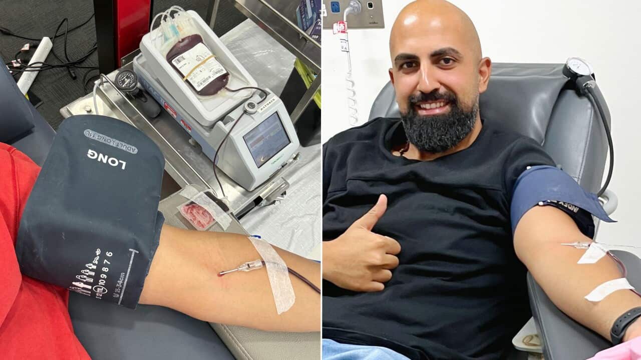 World Donor Day online