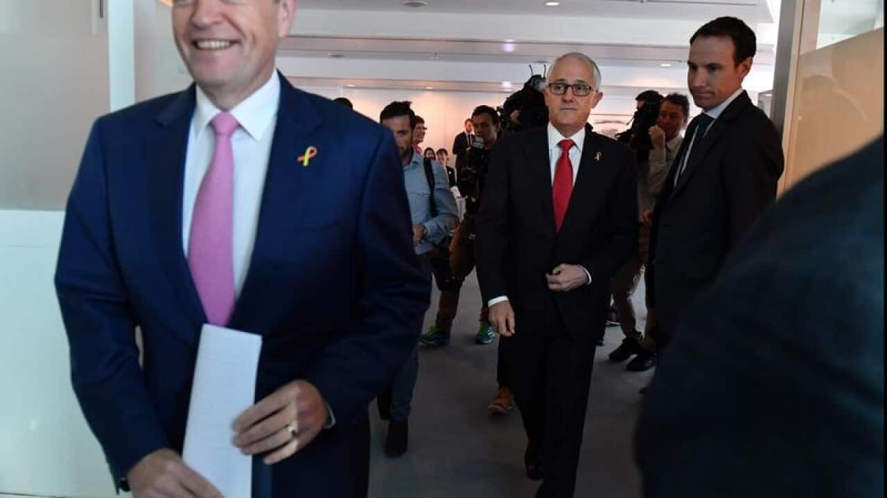 Bill Shorten and Malcolm Turnbull