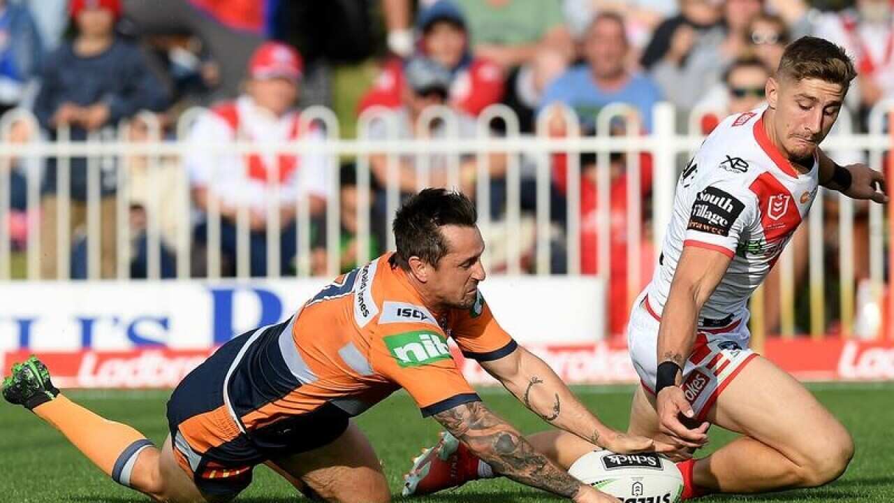 NRL DRAGONS KNIGHTS PEARCE