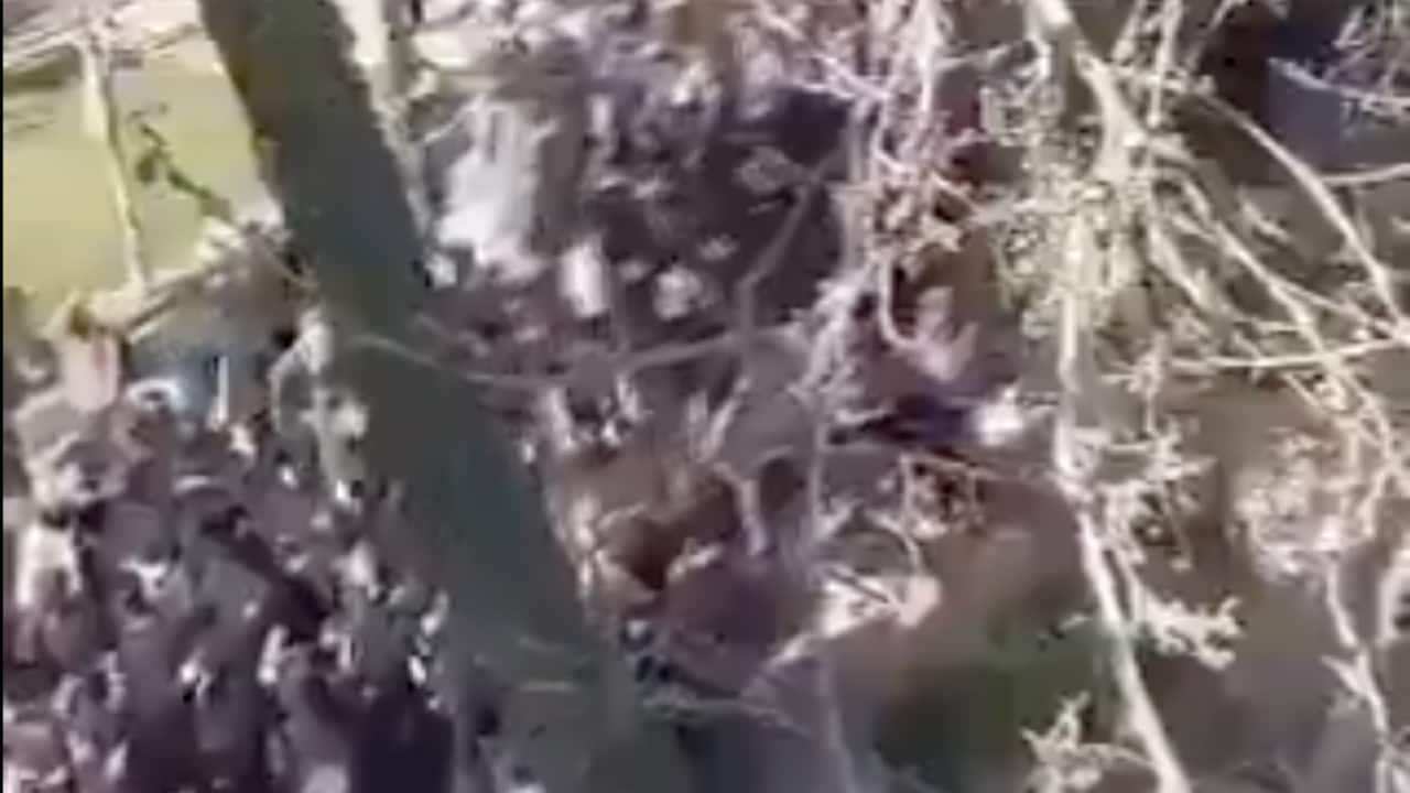 Screenshot 2026-02-23 at 9.59.39 AM.png