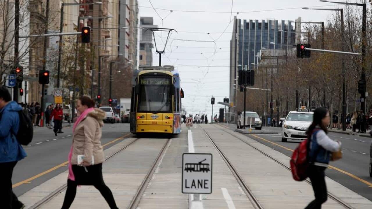 File image of the tramline on North Terrace in Adelaide.