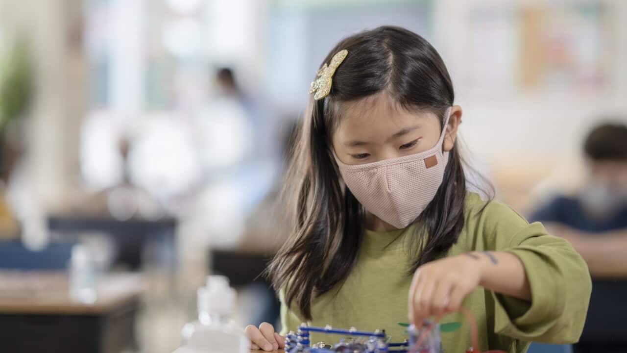 Image for read more article ''