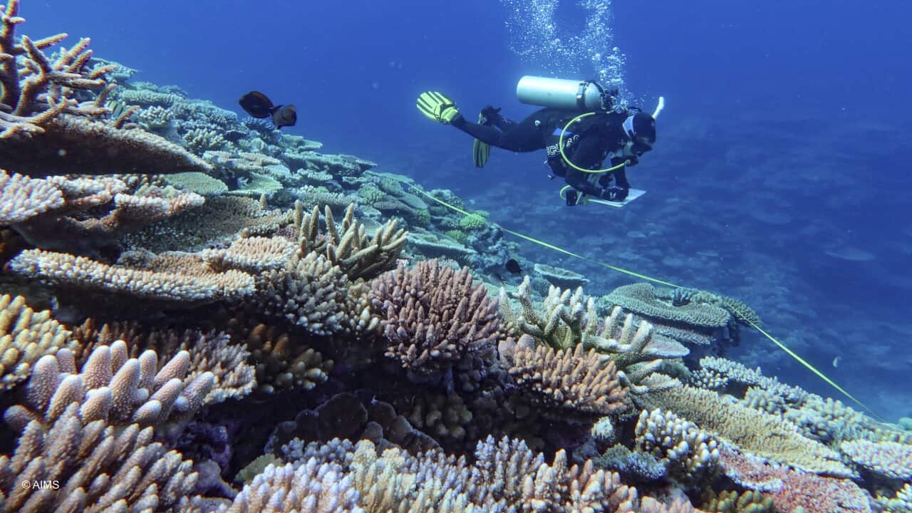 Australia Great Barrier Reef