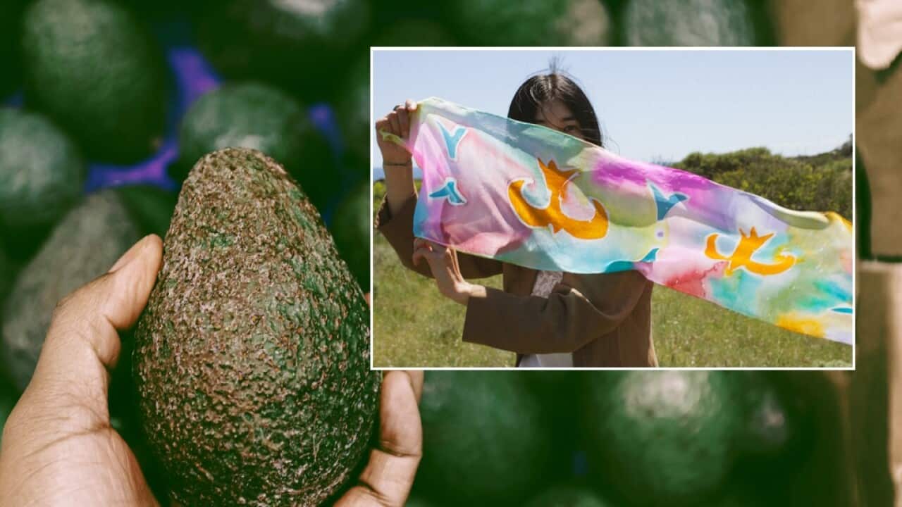 Scarves to dye for: This Australian designer is using food scraps to colour silk Scarves to dye for: This Australian designer is using food scraps to colour silk