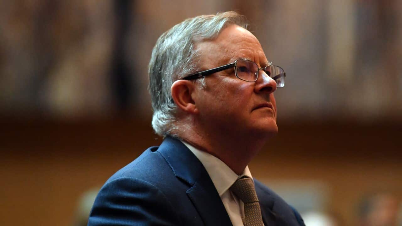Opposition leader Anthony Albanese at Parliament House in Canberra, in December 2020. 