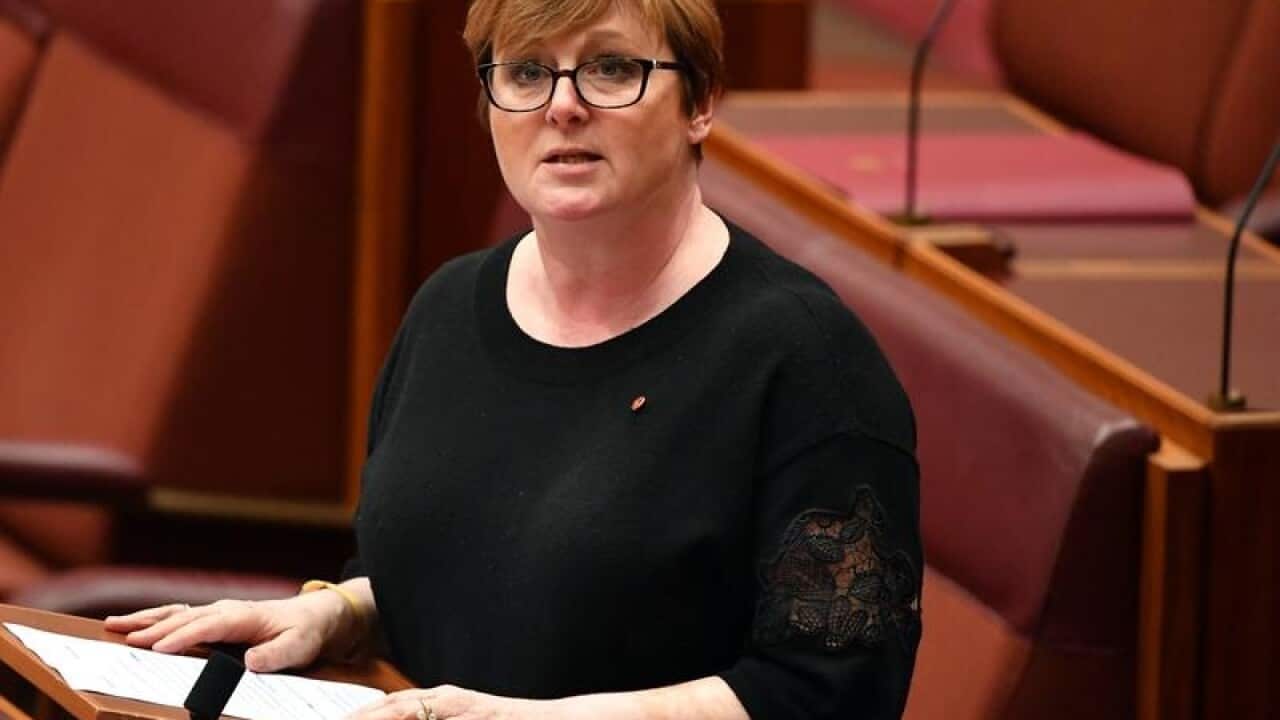 Liberal Senator Linda Reynolds in Parliament.