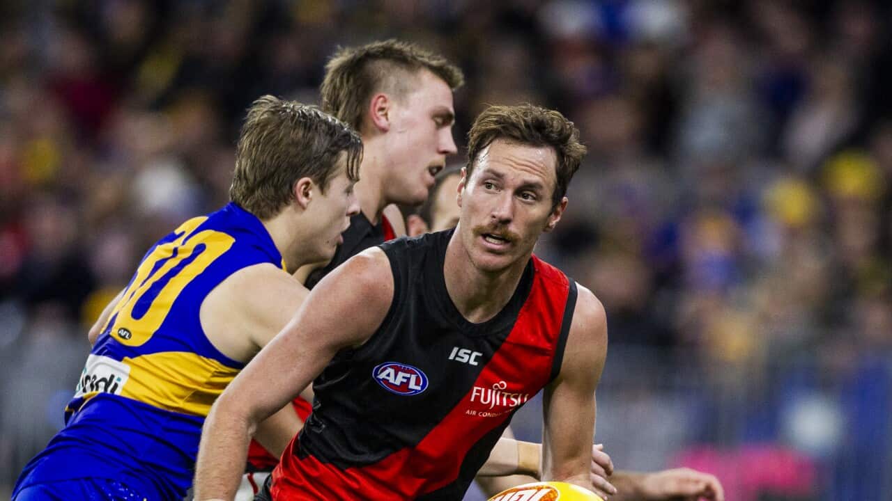 ‘Strong and comfortable’: Mitch Brown becomes the first Afl player who publicly identifies as bisexual ‘Strong and comfortable’: Mitch Brown becomes the first Afl player who publicly identifies as bisexual