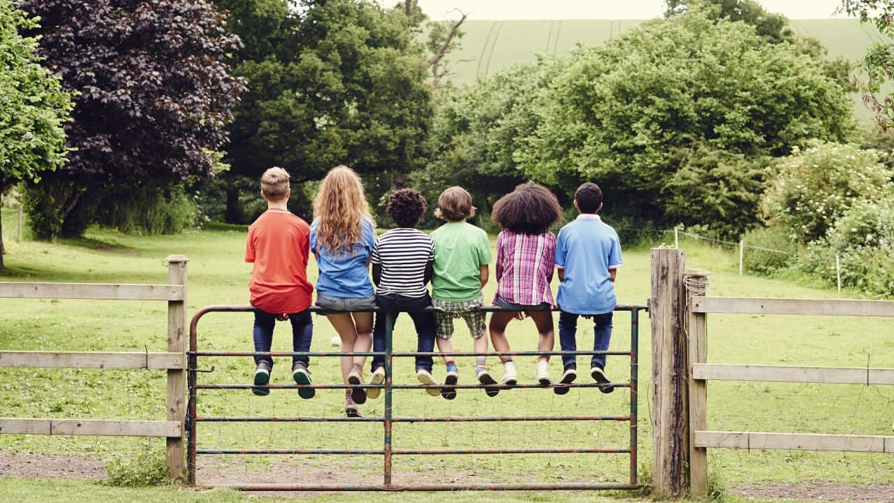 Group of friends sitting on a gate in a field