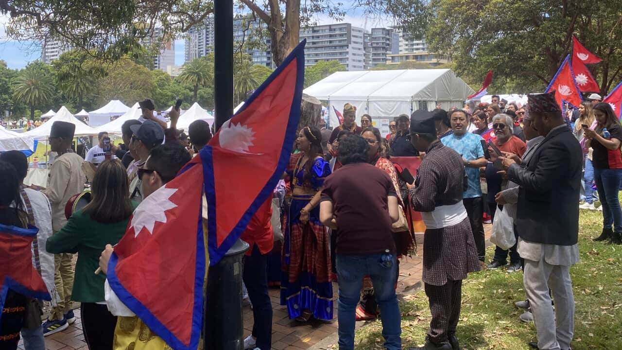 Nepal Festival.jpg