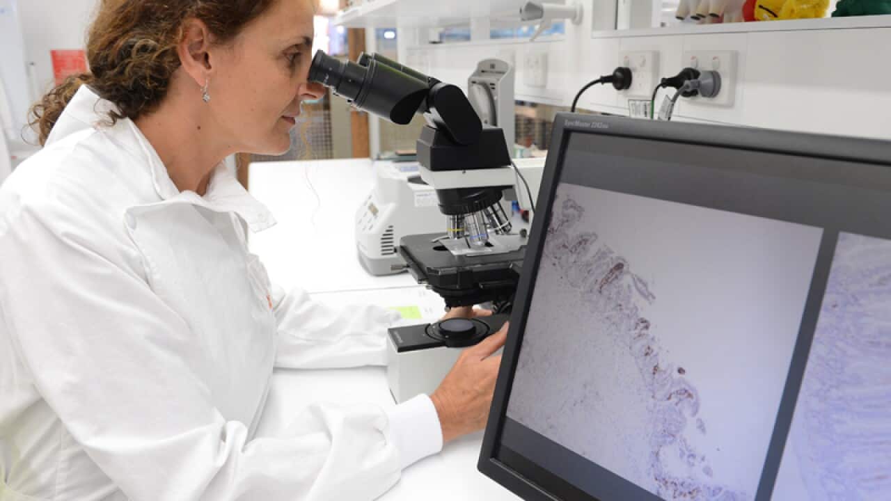 A researcher in a laboratory