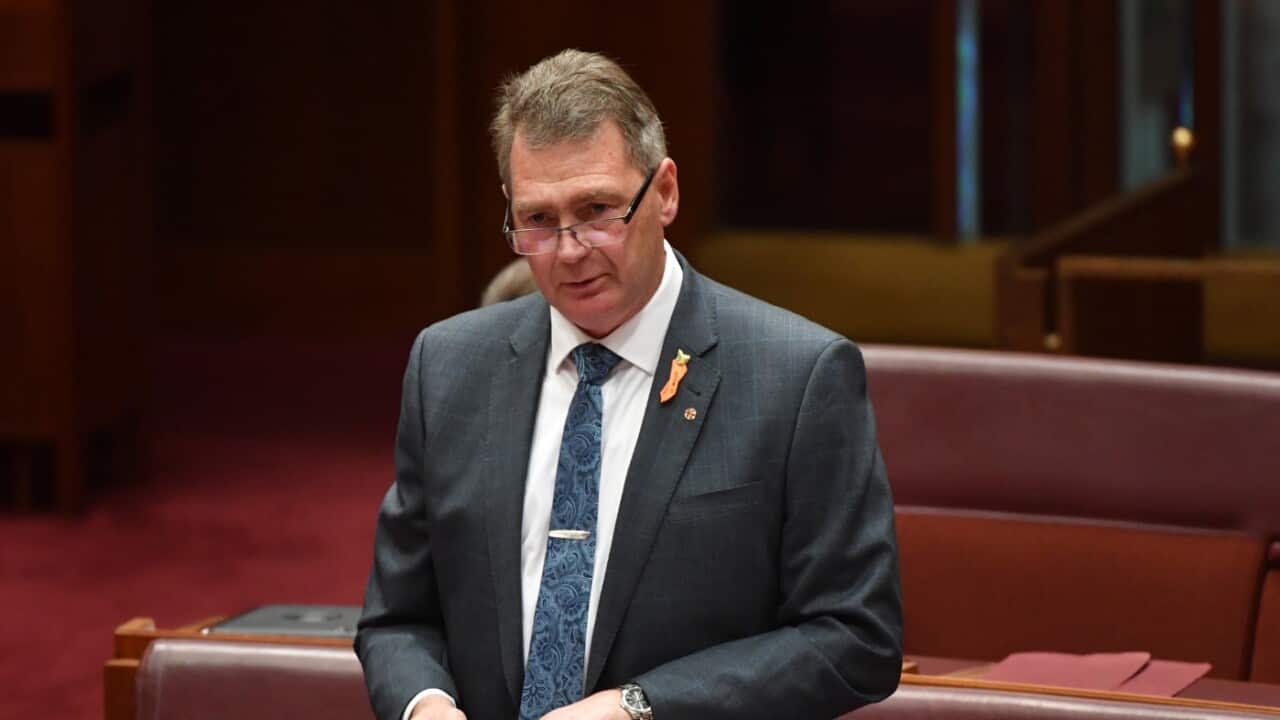 Independent Senator Steve Martin