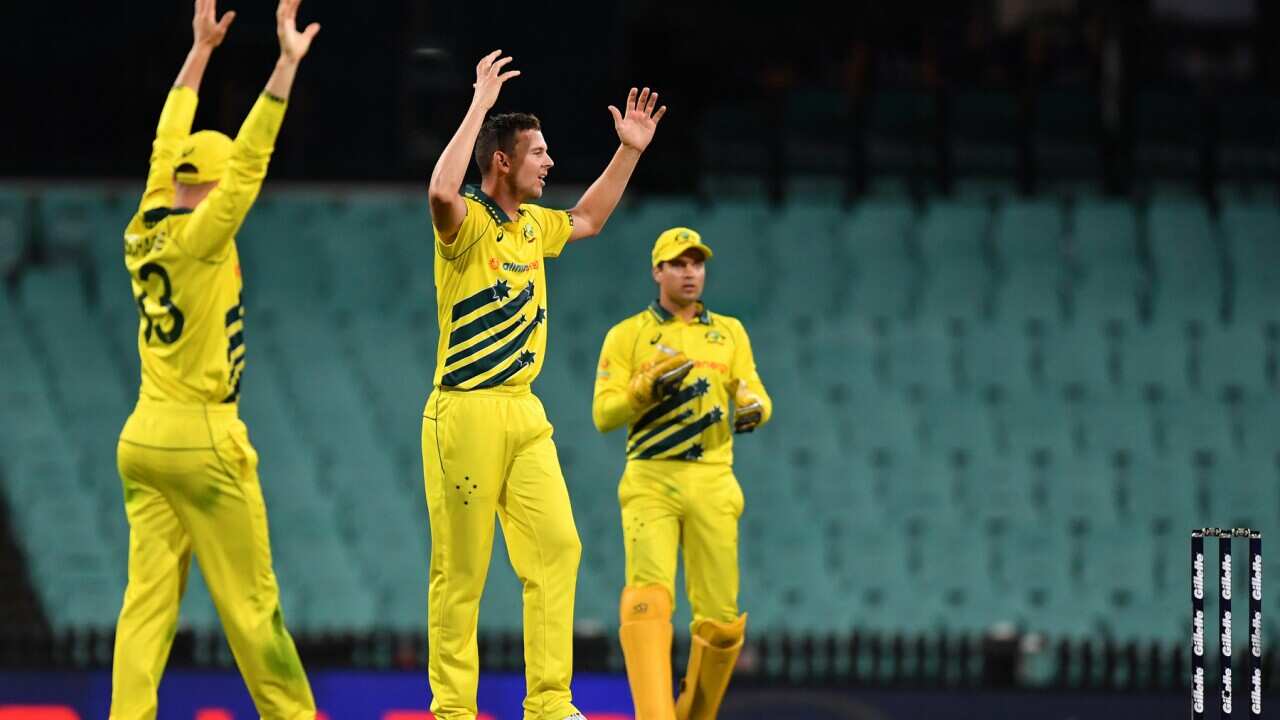 Australia's Josh Hazlewood is denied the wicket of New Zealand's Lockie Ferguson at an empty SCG