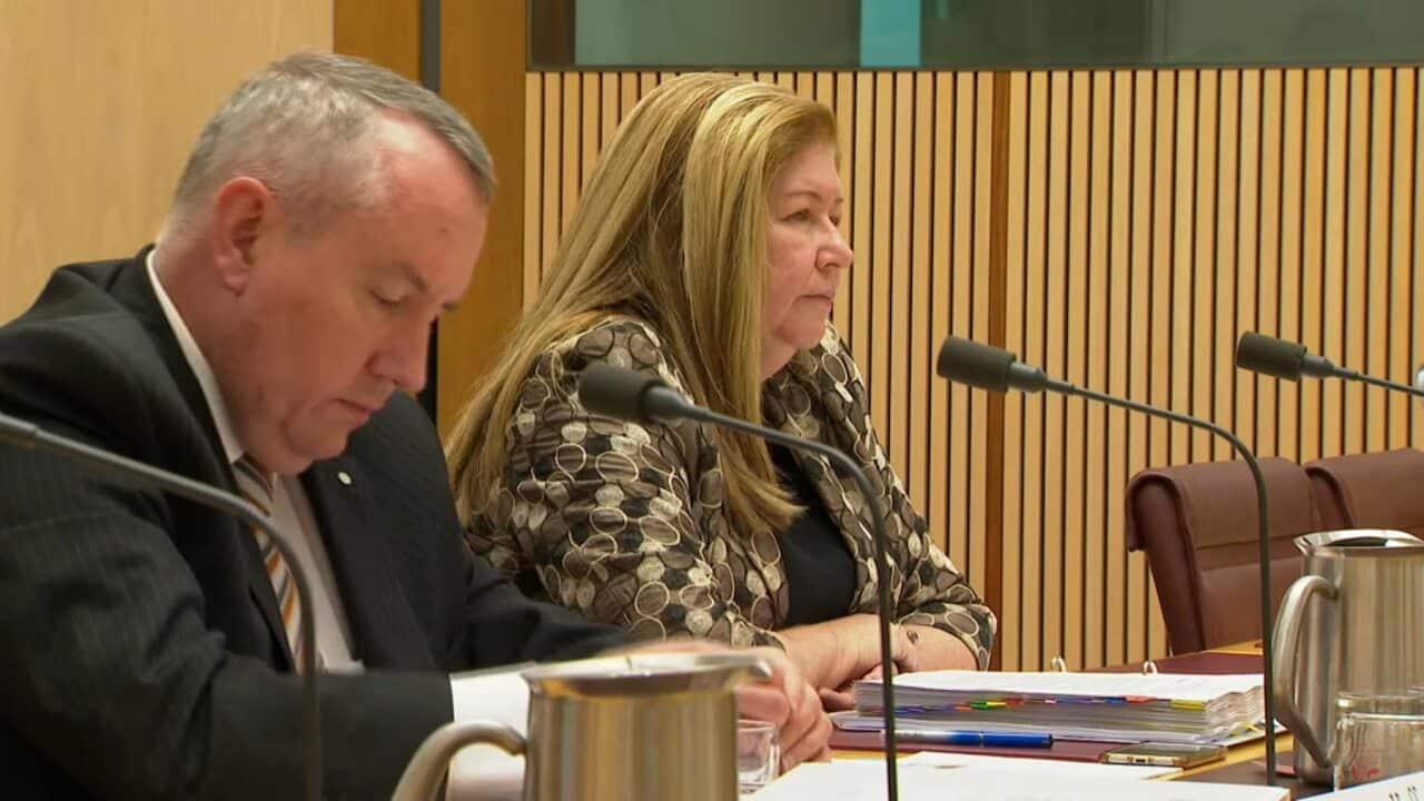 Malisa Golightly speaks at a Senate Legal and Constitutional Affairs Committee hearing