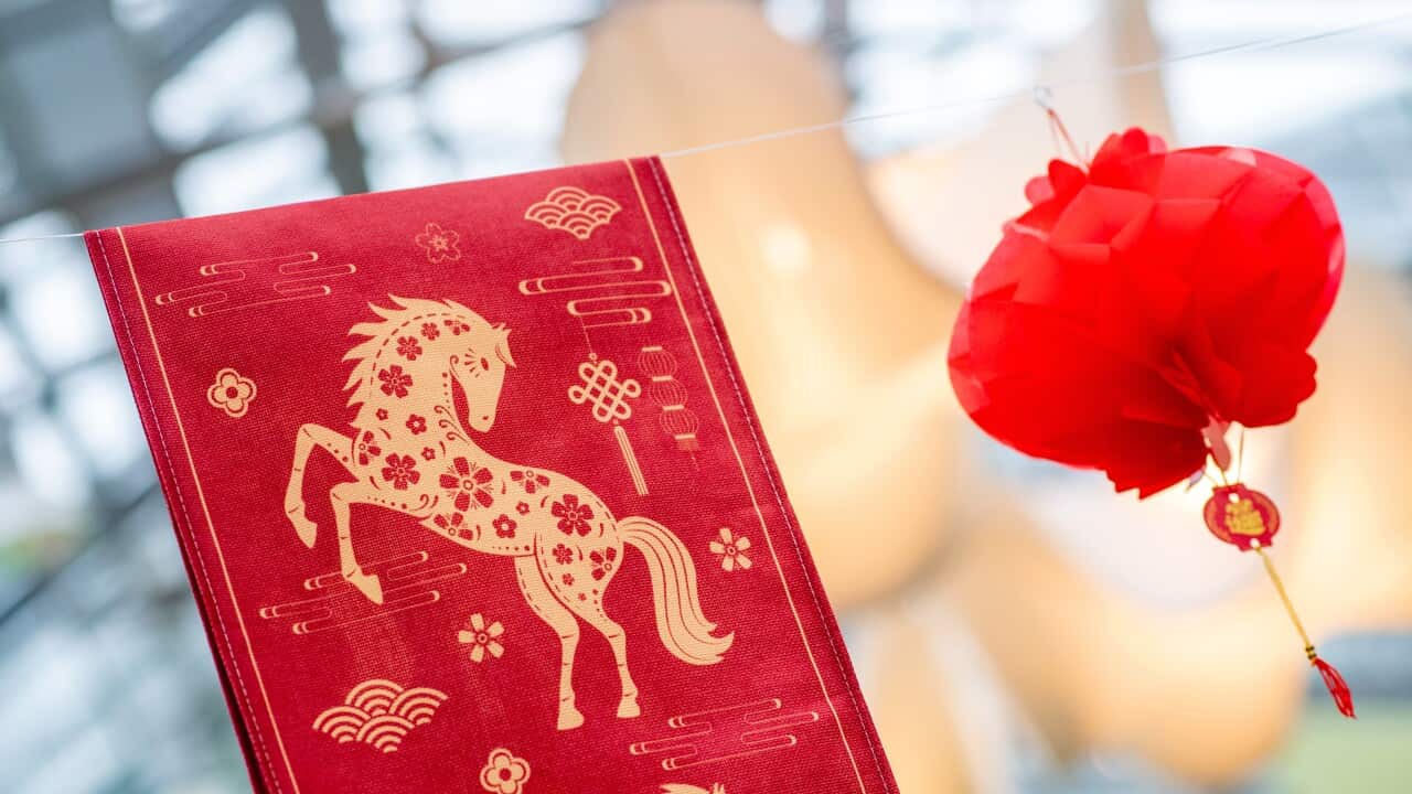 Germany: Chinese New Year is celebrated at the Botanika