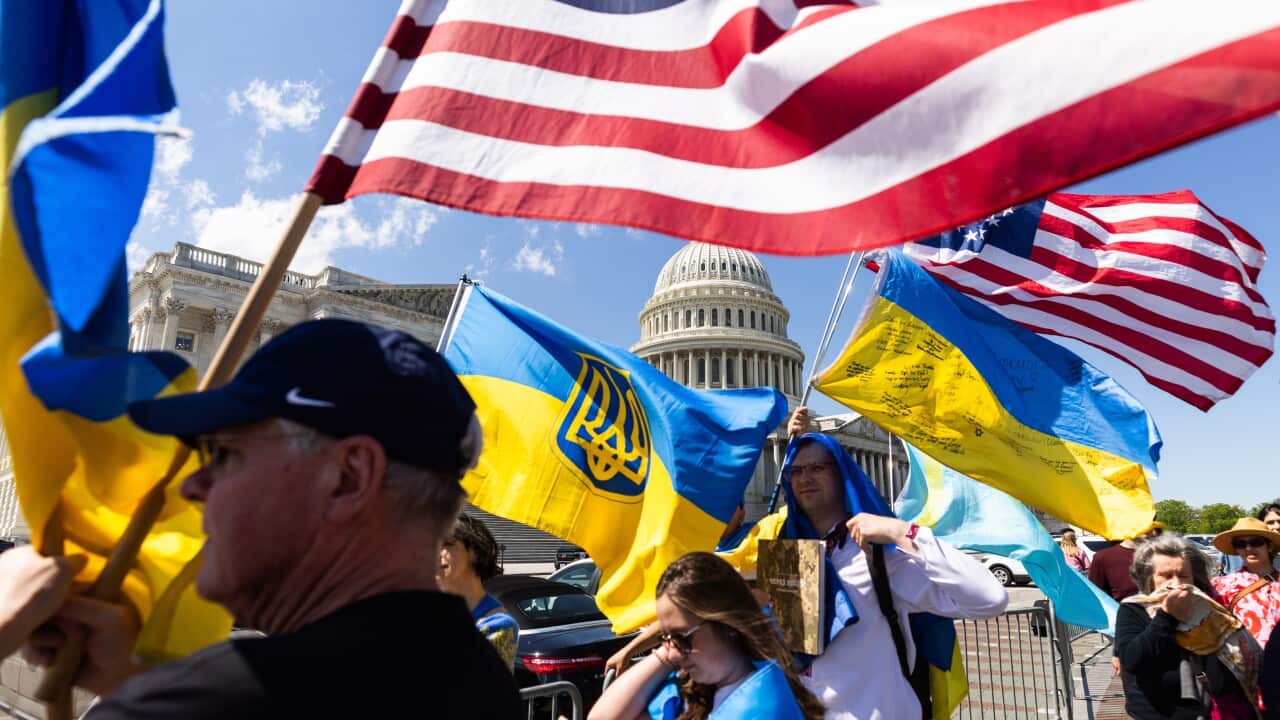 people waving flags