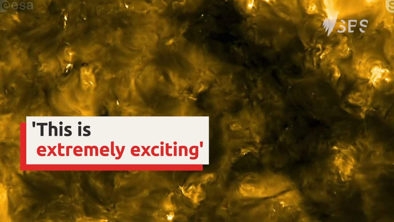 Scientists reveal closest images of the sun