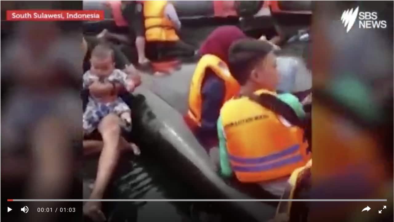 Victims of Indonesia ferry accident