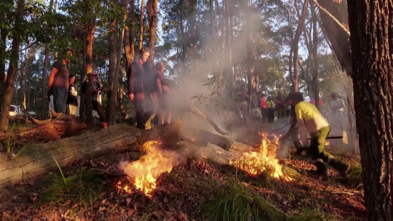 Image for read more article ''