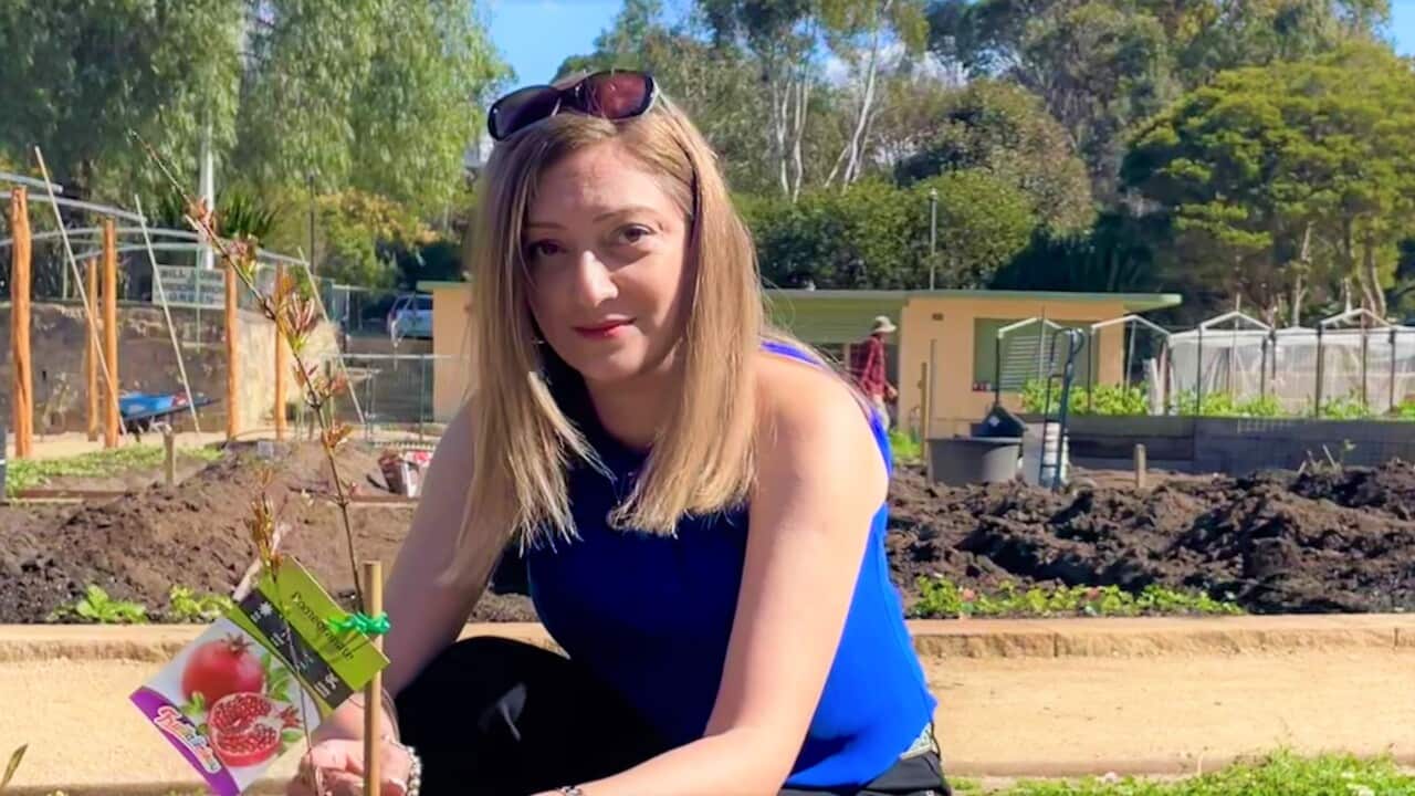 Marta in the Sydney garden (SBS-Sanda Fulloon).jpg