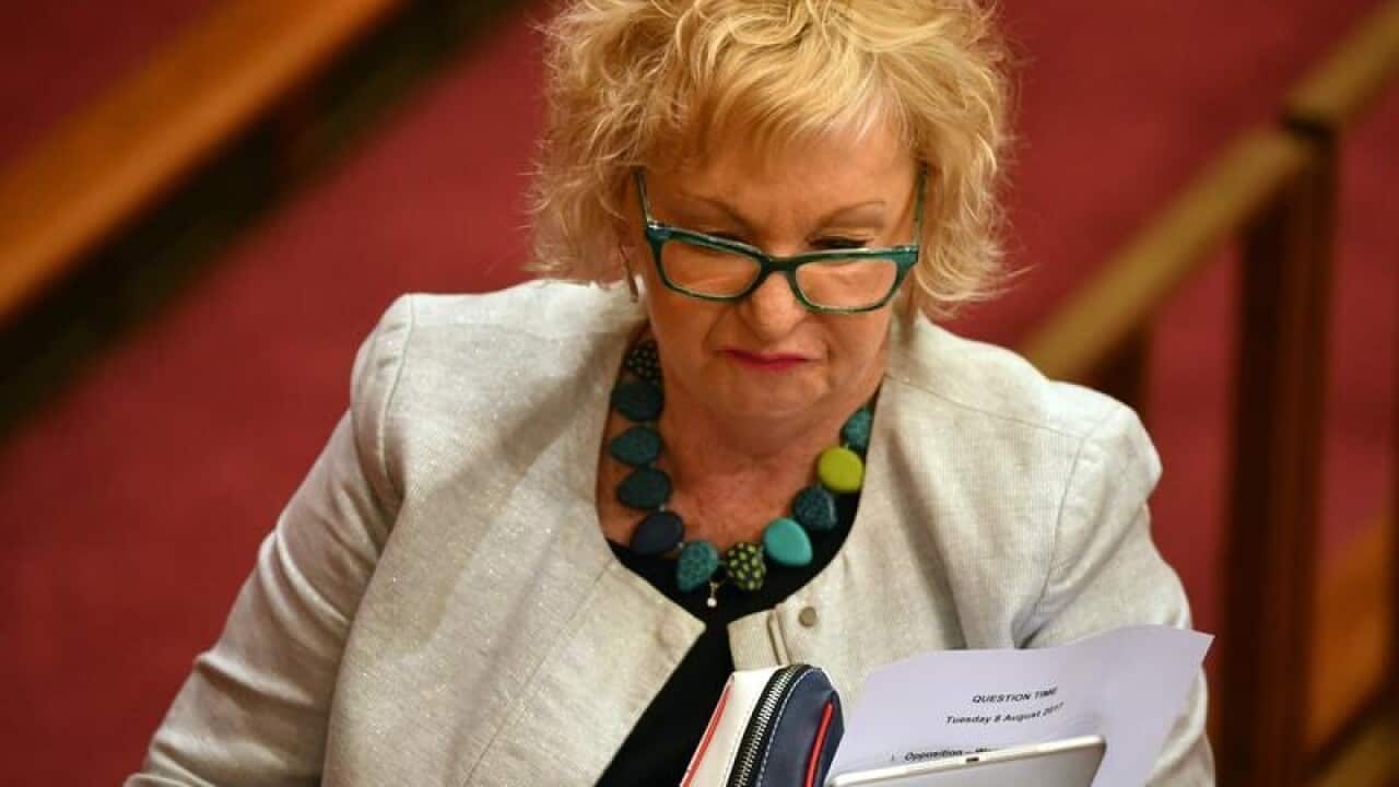 Labor Senator Helen Polley