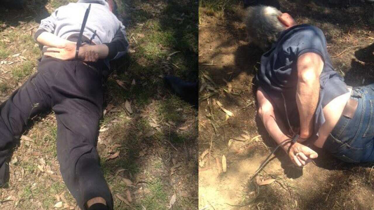 Gino (right) and Mark Stocco.