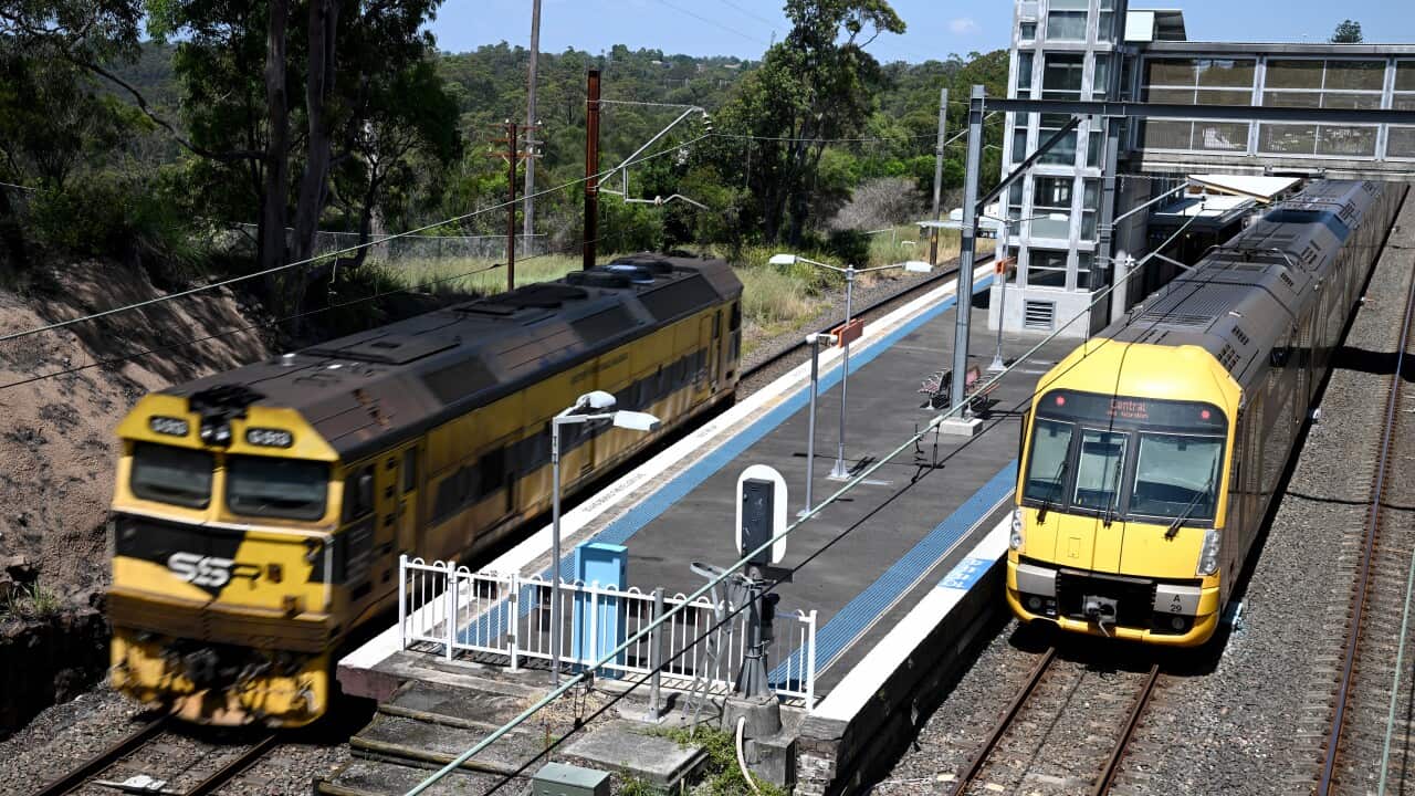 FREIGHT TRAIN DEATHS SYDNEY
