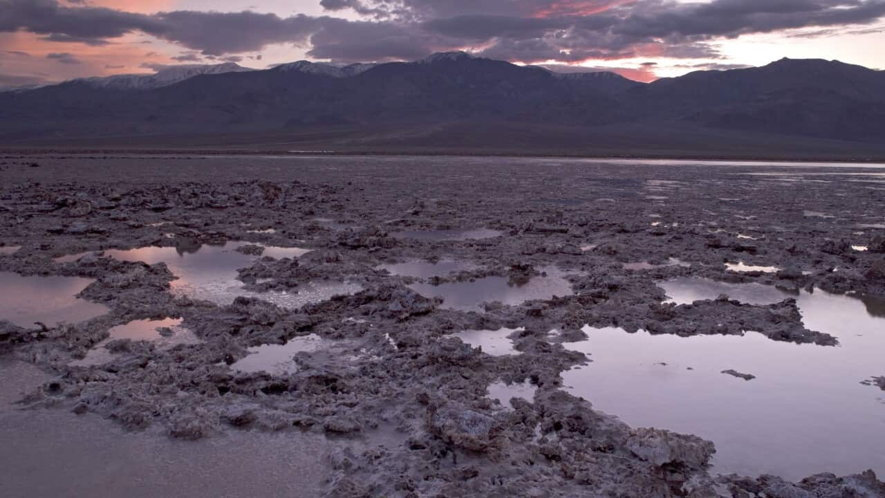 Salt Lake - at sunset, unusually full of water in high rainfall El Nino year. (AAP/Mary Evans/Ardea/Bob Gibbons) | NO ARCHIVING, EDITORIAL USE ONLY