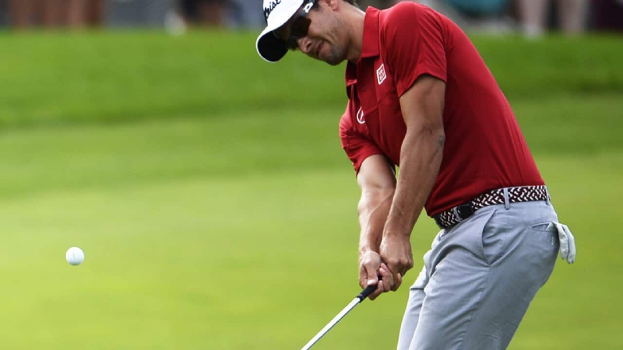 Adam Scott at the US PGA