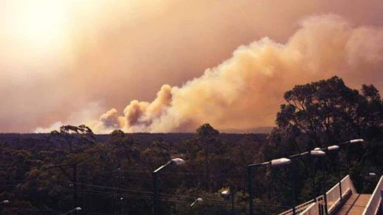 The 2013 bushfire near Linksview Road in Springwood, NSW