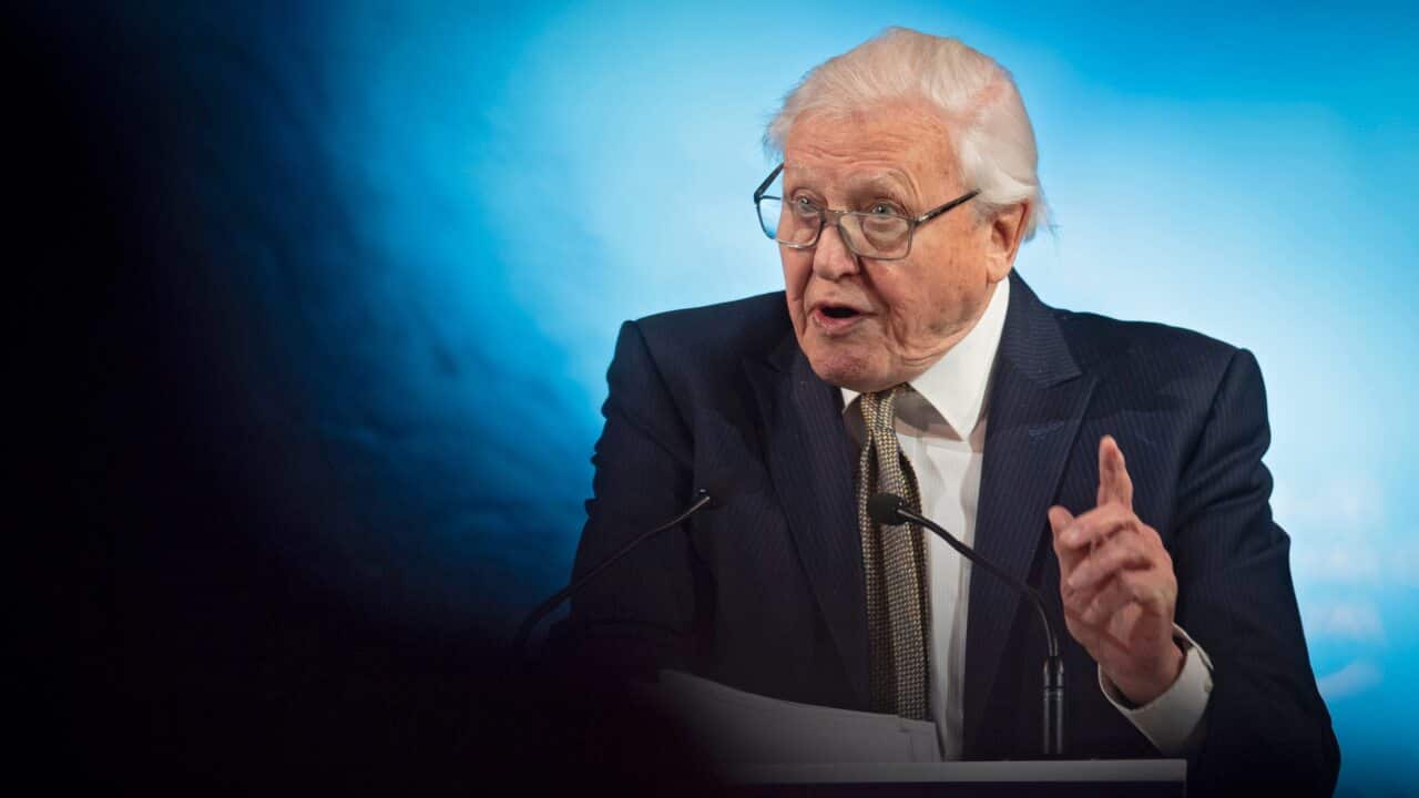 British naturalist David Attenborough speaks after receiving a Crystal Award for his environmental work.