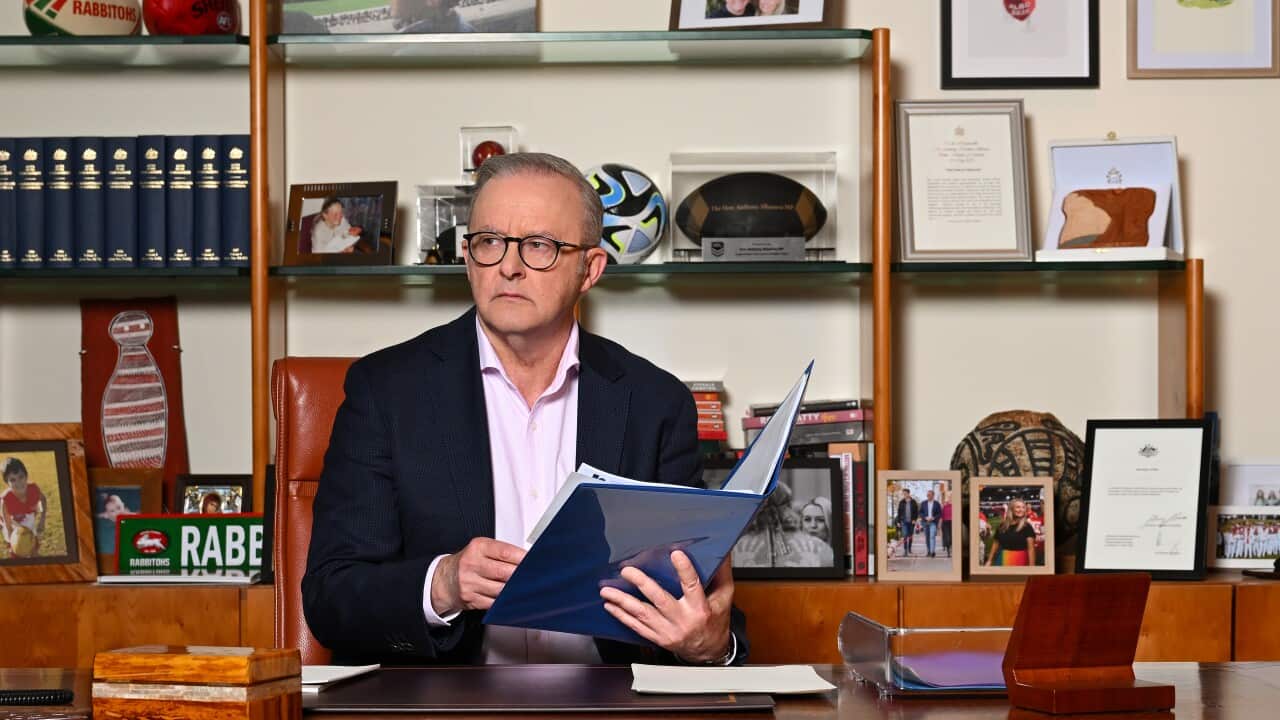 ANTHONY ALBANESE PORTRAIT