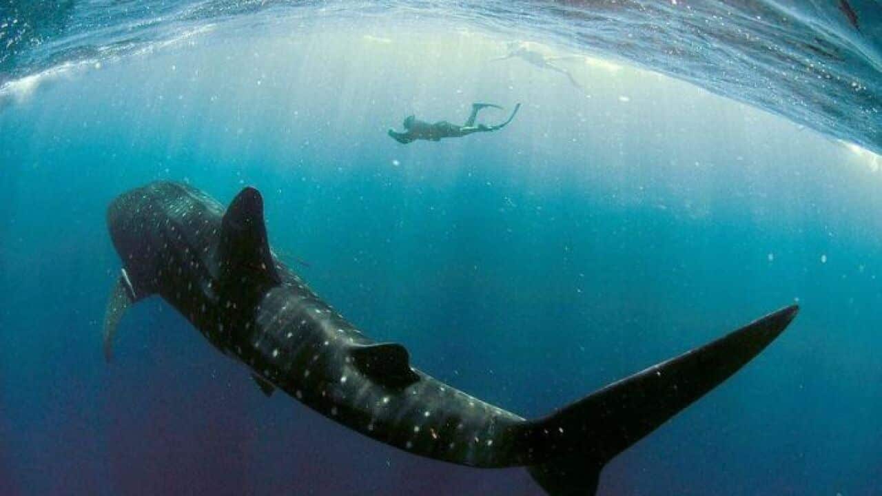 Image for read more article '更多內容'