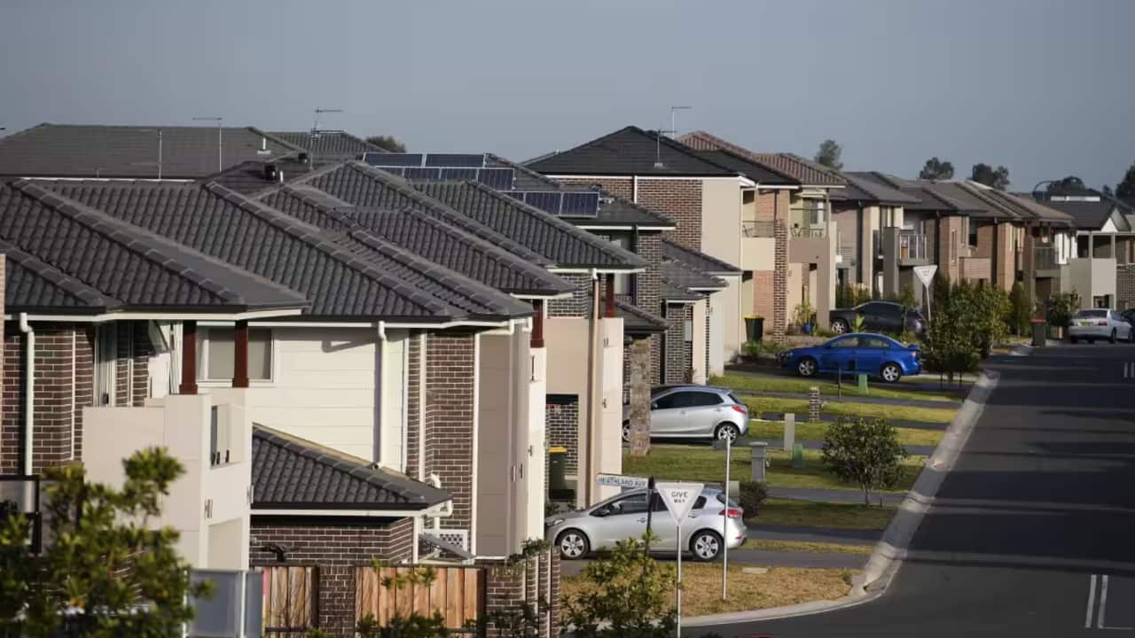 Image for read more article 'READ MORE'