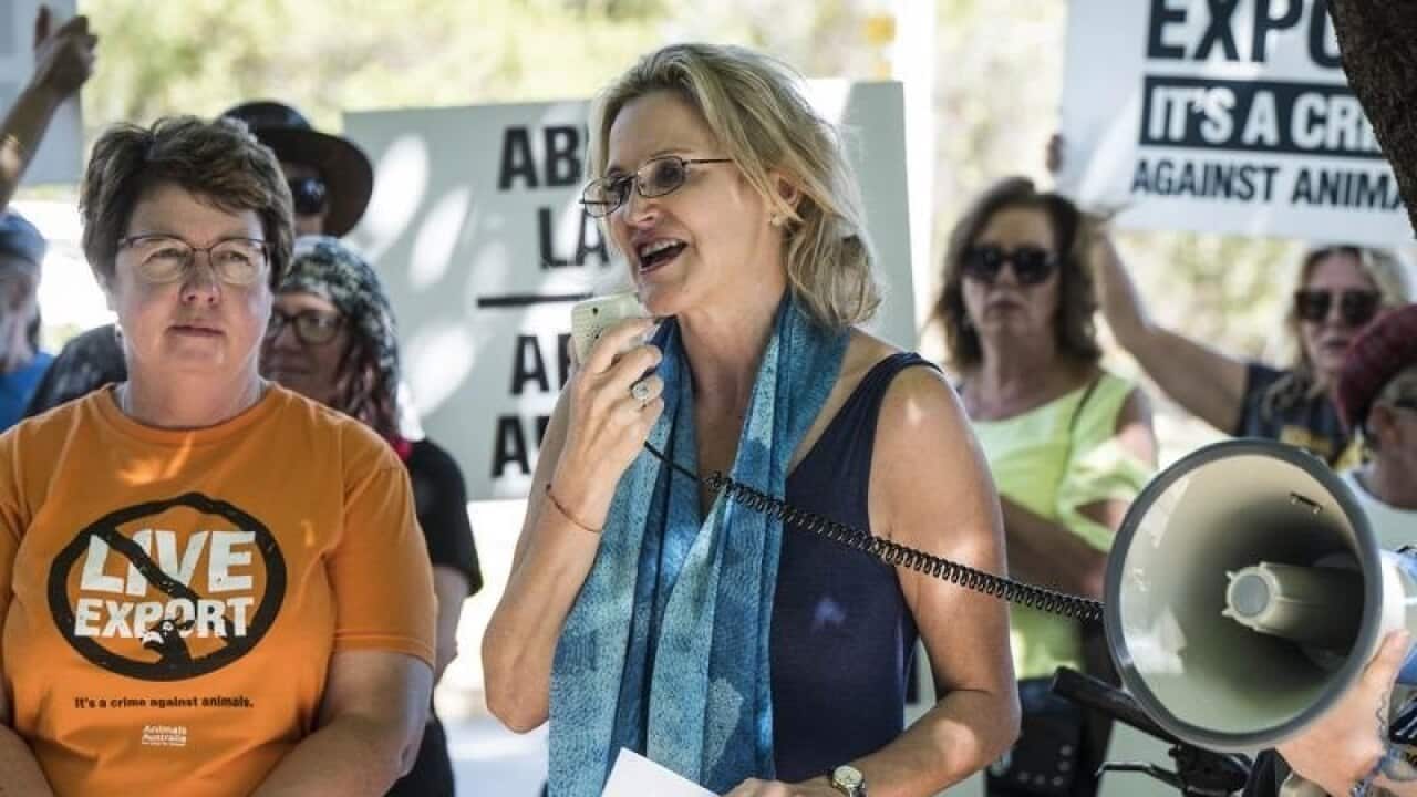 Image for read more article 'READ MORE'