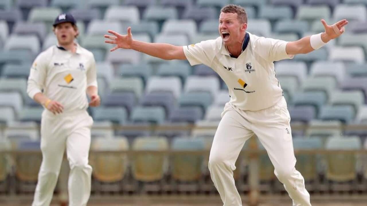 Peter Siddle in action in the JLT Sheffield Shield.