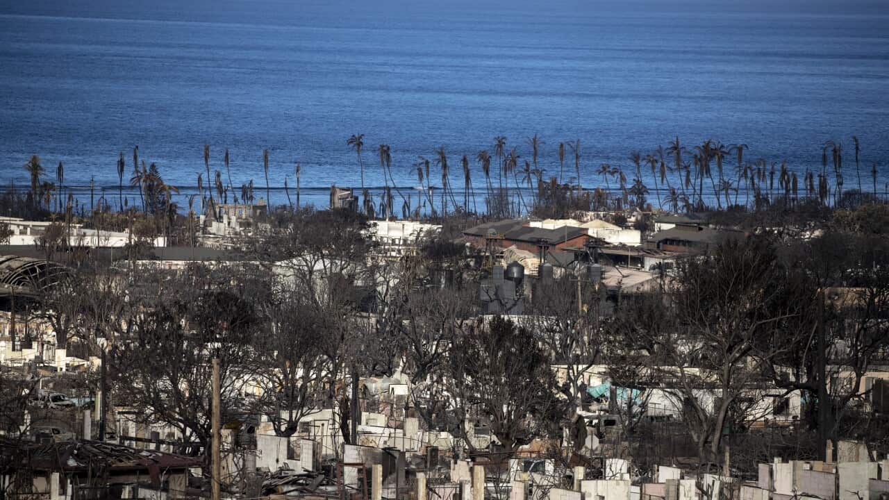 epaselect USA HAWAII MAUI LAHAINA WILDFIRE