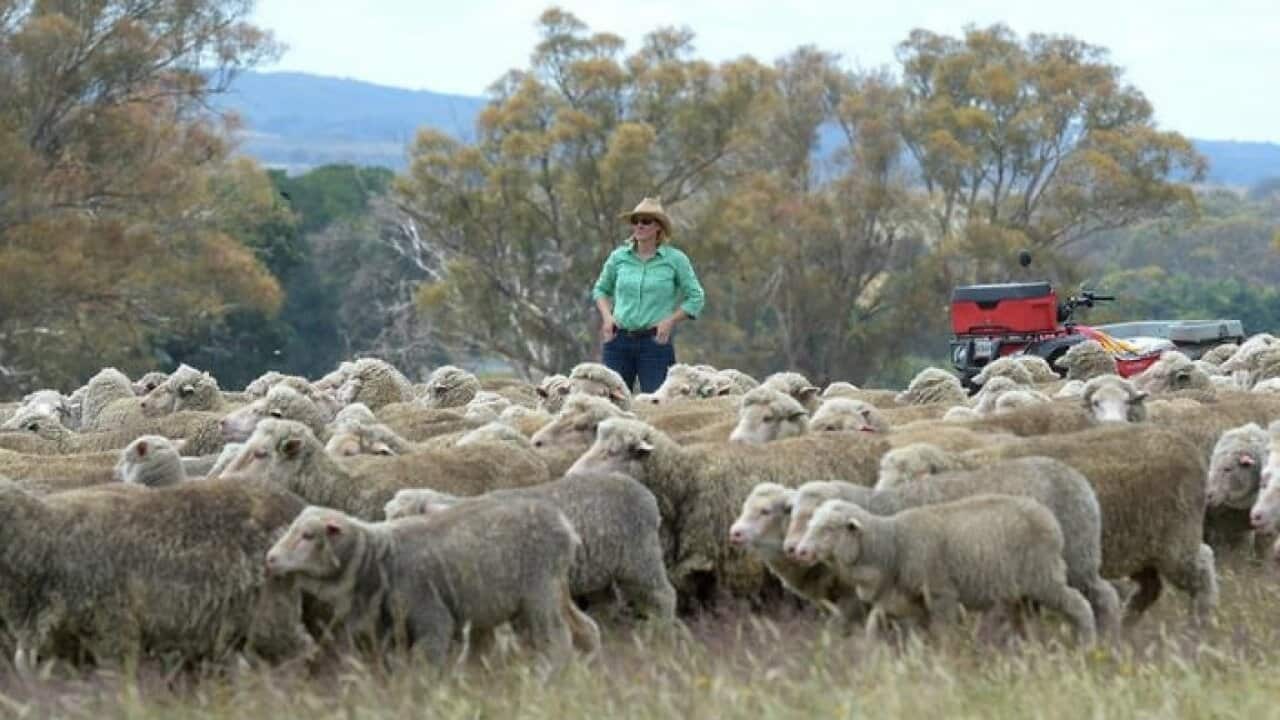 Image for read more article 'READ MORE'