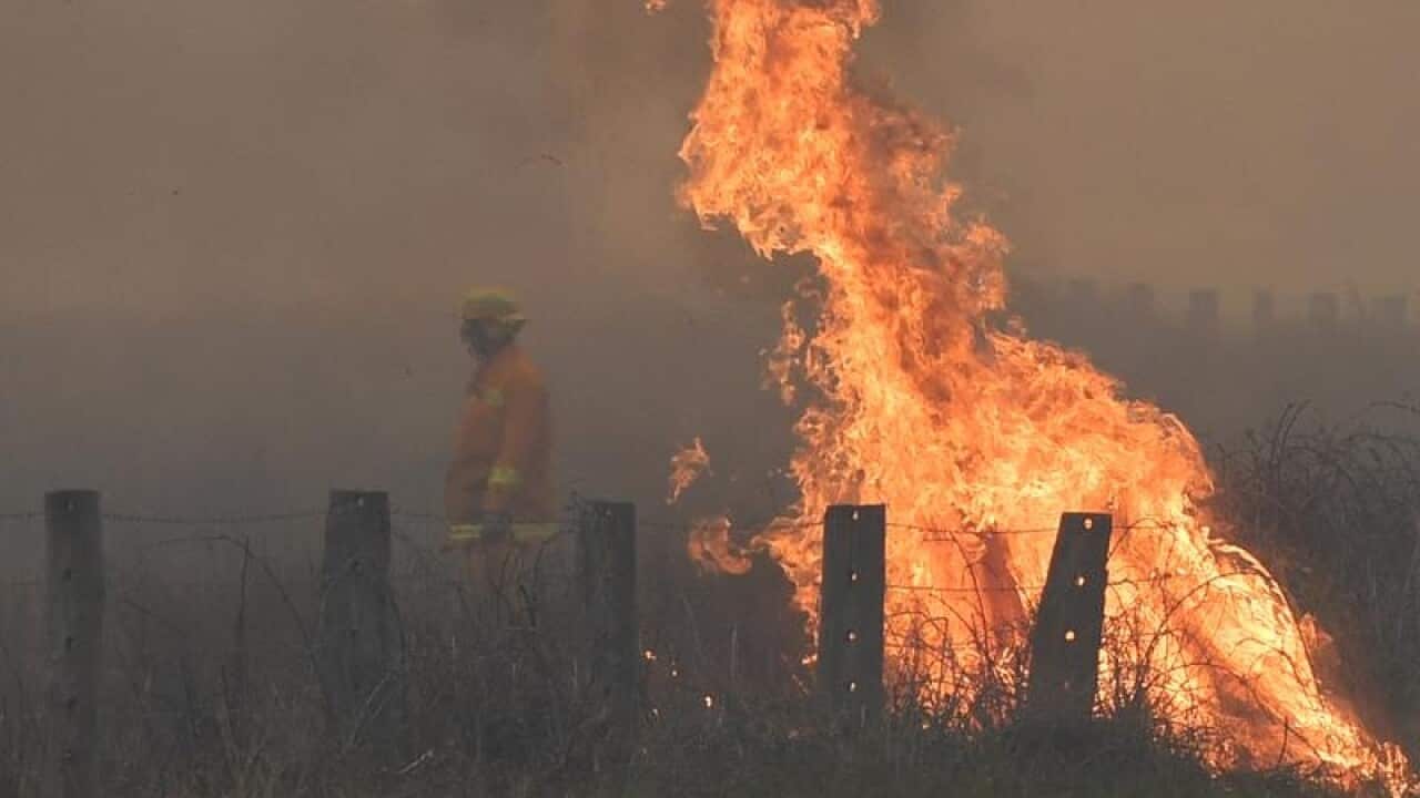 A fire fighter in front of a spot fire is seen in Victoria.