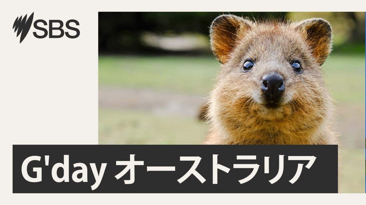Image for read more article '聞くオーストラリアのビギナーズガイド'