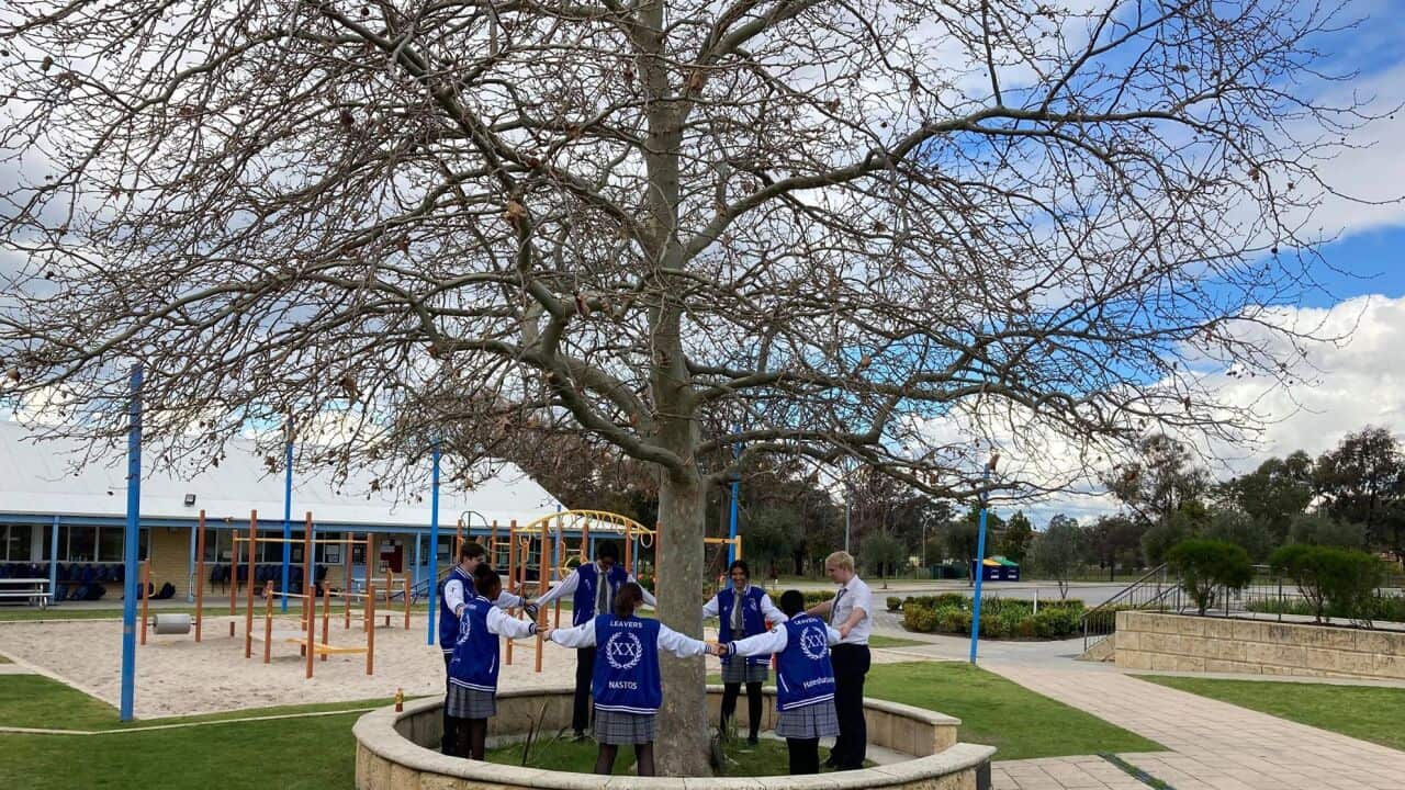 Image for read more article 'ΔΕΙΤΕ ΑΚΟΜΗ'