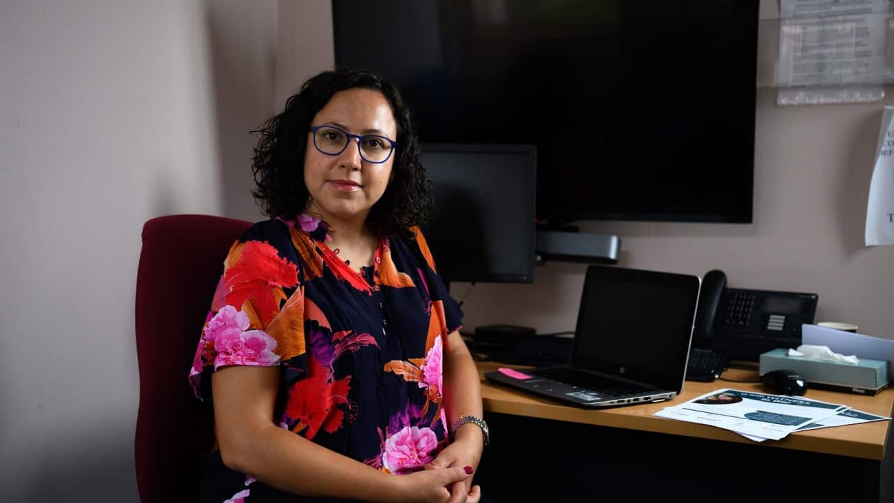 WITNESS TO WAR NATIONAL HOTLINE