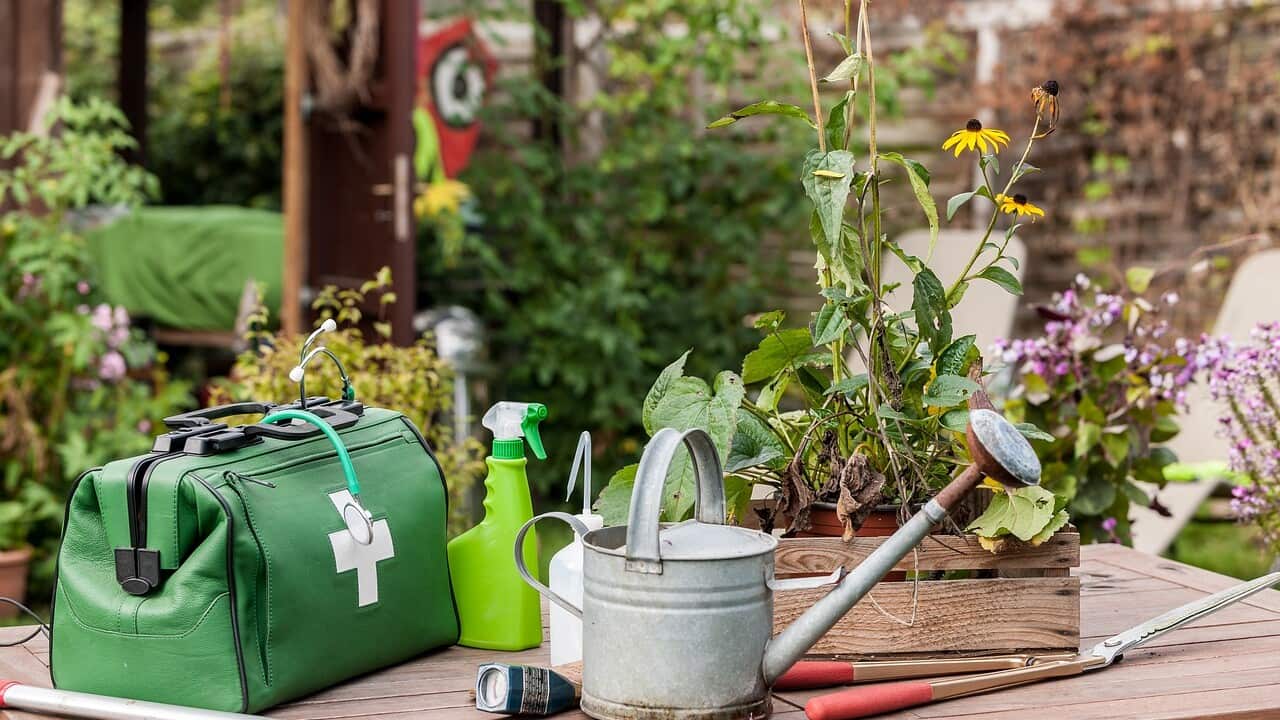 Image for read more article 'READ MORE'