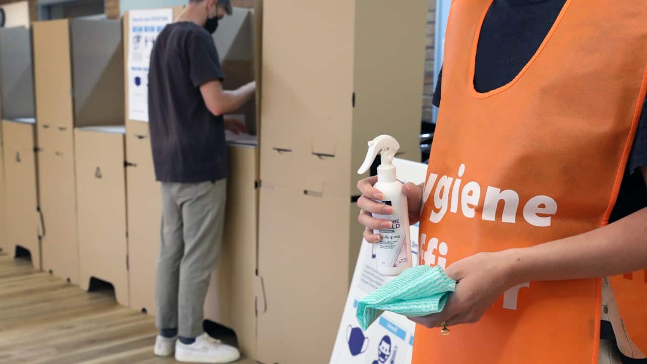 A scene demonstrating the role of hygiene officers at polling locations in South Australia.