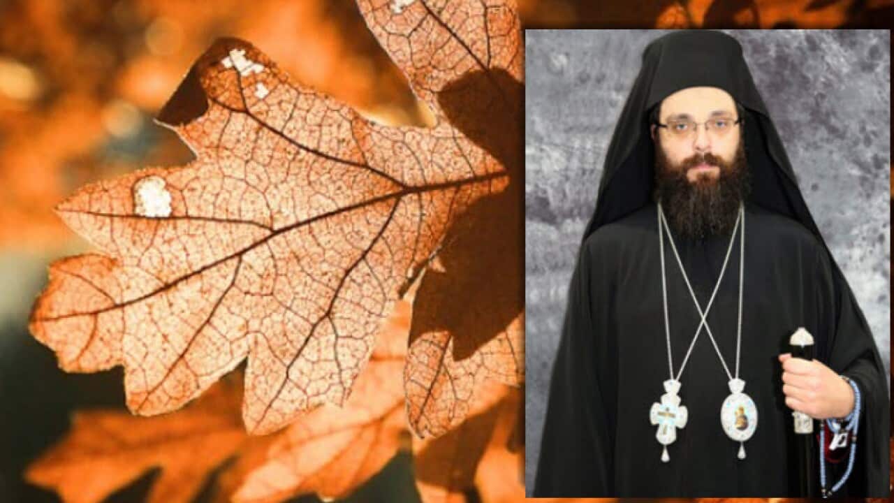 Bishop of the Metropolitanate Australia and New Zealand, His Grace Mr Siluan