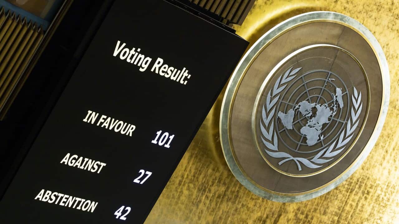 United Nations General Assembly votes on non-binding resolutions on Palestine