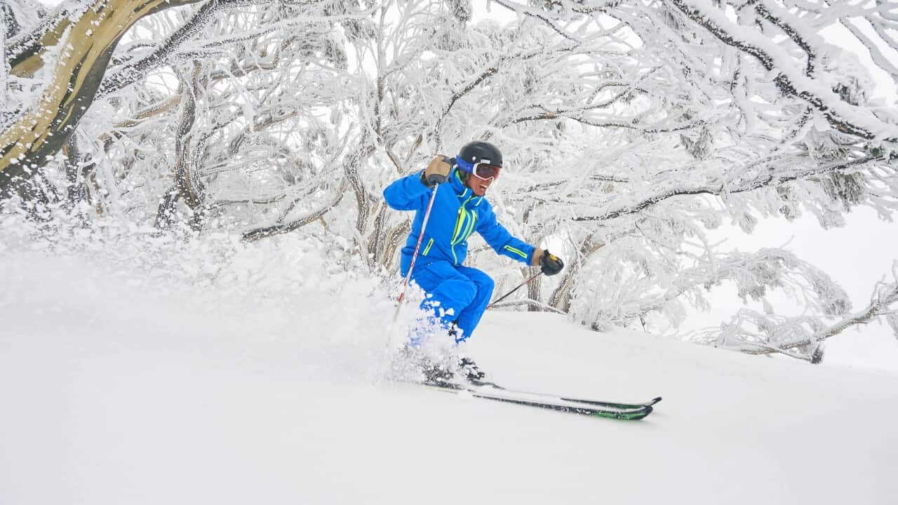 SNOWFALL MT BULLER RESORT