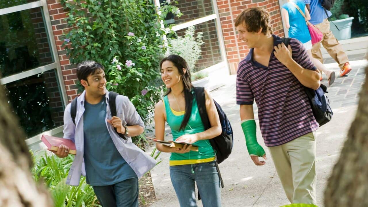 Students moving Darwin