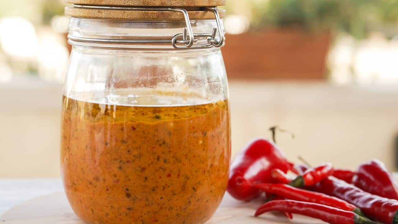 Shane delia fel fel.jpg