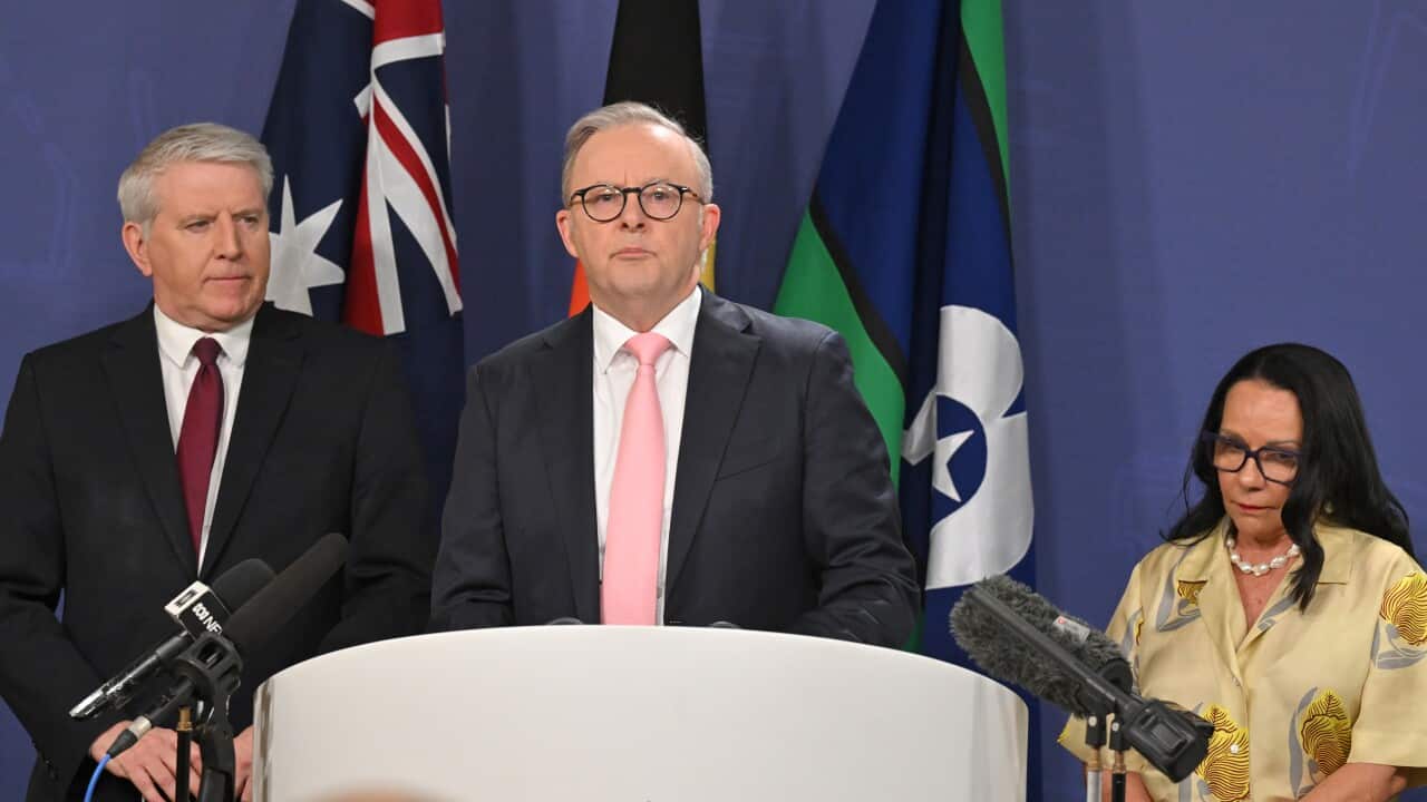 ANTHONY ALBANESE PRESSER